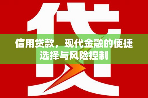 大足信用贷款，现代金融的便捷选择与风险控制