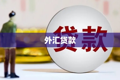 大足外汇贷款