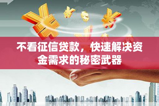 大足不看征信贷款，快速解决资金需求的秘密武器