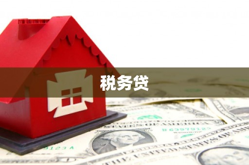 大足税务贷