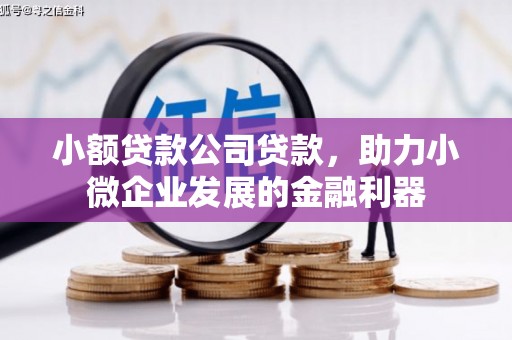 大足小额贷款公司贷款，助力小微企业发展的金融利器