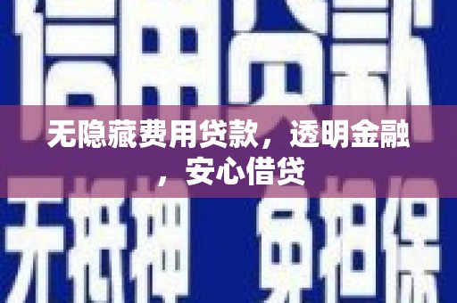 大足无隐藏费用贷款，透明金融，安心借贷