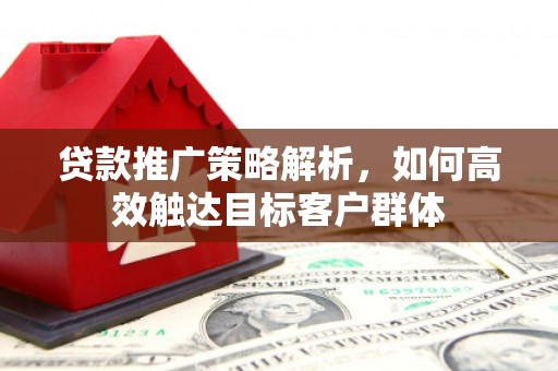 大足贷款推广策略解析，如何高效触达目标客户群体