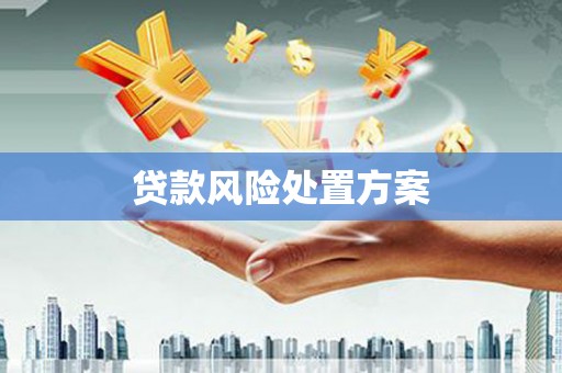 大足贷款风险处置方案