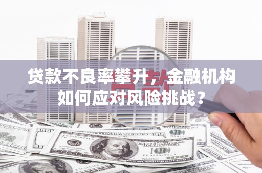 大足贷款不良率攀升，金融机构如何应对风险挑战？