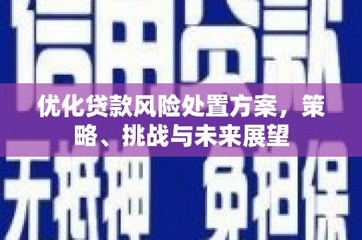 大足优化贷款风险处置方案，策略、挑战与未来展望