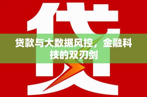 大足贷款与大数据风控，金融科技的双刃剑