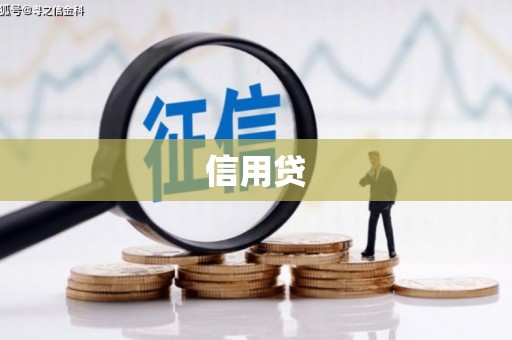 大足信用贷