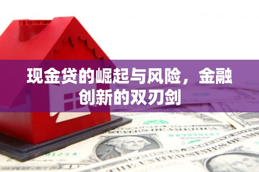 大足现金贷的崛起与风险，金融创新的双刃剑