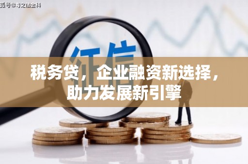大足税务贷，企业融资新选择，助力发展新引擎