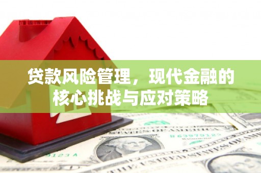 大足贷款风险管理，现代金融的核心挑战与应对策略