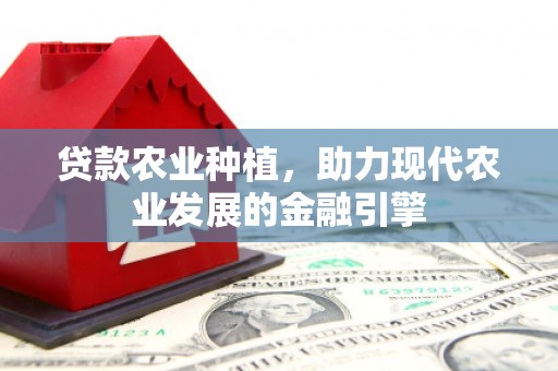 大足贷款农业种植，助力现代农业发展的金融引擎