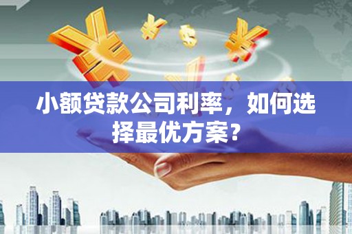 大足小额贷款公司利率，如何选择最优方案？