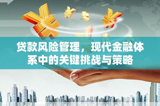 大足贷款风险管理，现代金融体系中的关键挑战与策略