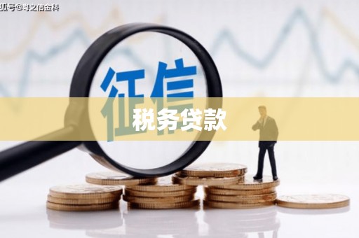 大足税务贷款