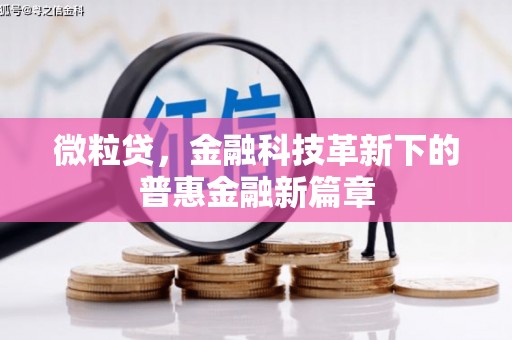大足微粒贷，金融科技革新下的普惠金融新篇章