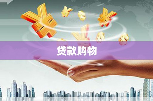 大足贷款购物