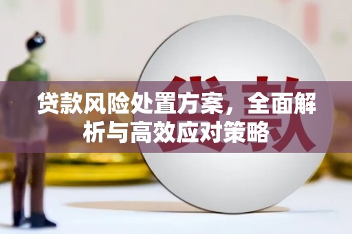 大足贷款风险处置方案，全面解析与高效应对策略
