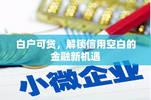 大足白户可贷，解锁信用空白的金融新机遇