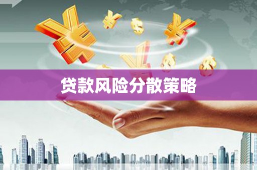 大足贷款风险分散策略