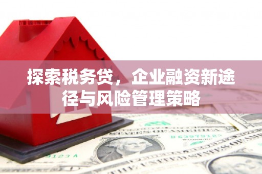 大足探索税务贷，企业融资新途径与风险管理策略