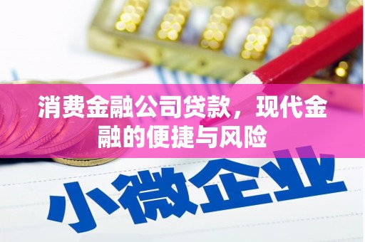 大足消费金融公司贷款，现代金融的便捷与风险