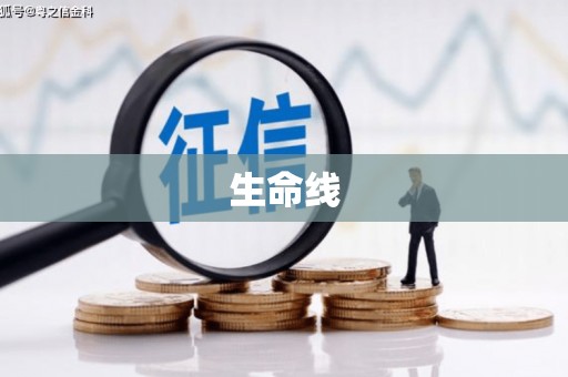 大足生命线