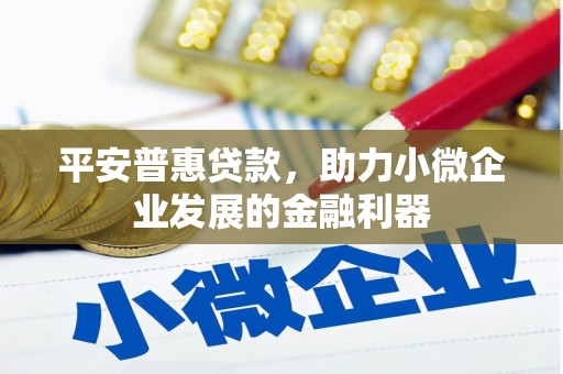 大足平安普惠贷款，助力小微企业发展的金融利器