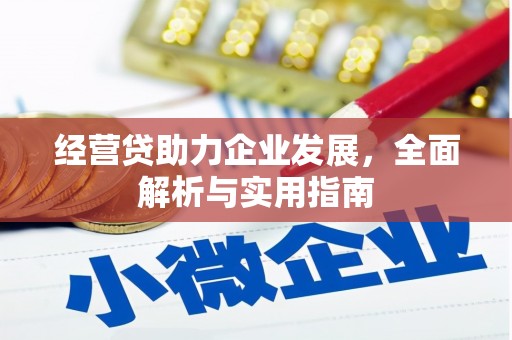 大足经营贷助力企业发展，全面解析与实用指南