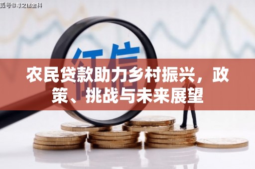 大足农民贷款助力乡村振兴，政策、挑战与未来展望