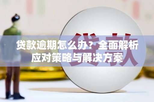 大足贷款逾期怎么办？全面解析应对策略与解决方案