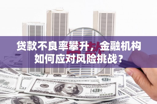 大足贷款不良率攀升，金融机构如何应对风险挑战？