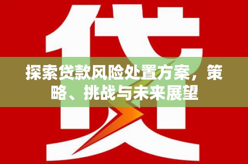 大足探索贷款风险处置方案，策略、挑战与未来展望