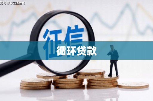 大足循环贷款
