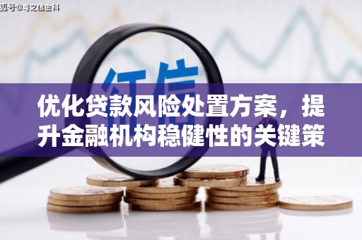 大足优化贷款风险处置方案，提升金融机构稳健性的关键策略