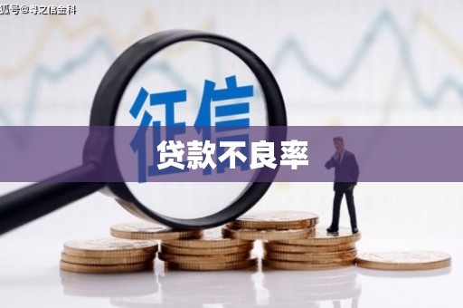 大足贷款不良率