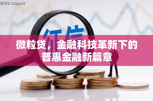 大足微粒贷，金融科技革新下的普惠金融新篇章