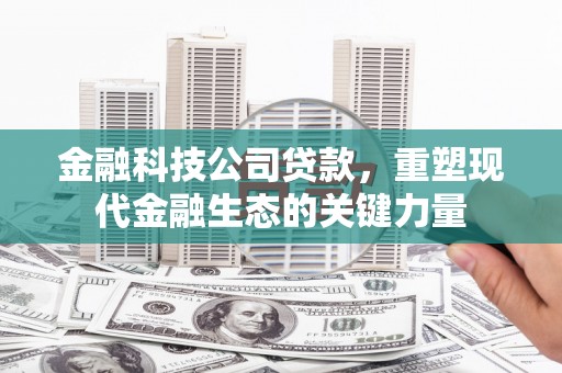大足金融科技公司贷款，重塑现代金融生态的关键力量