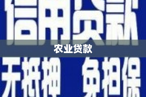 大足农业贷款