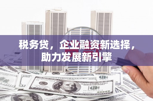 大足税务贷，企业融资新选择，助力发展新引擎