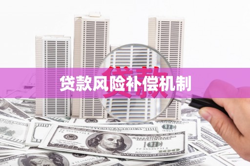大足贷款风险补偿机制