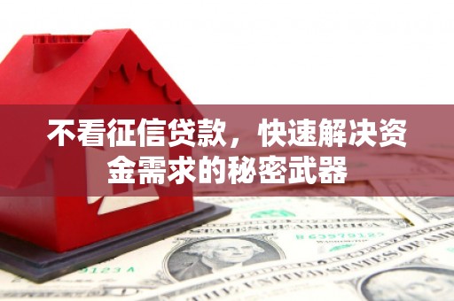 大足不看征信贷款，快速解决资金需求的秘密武器