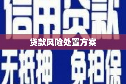 大足贷款风险处置方案