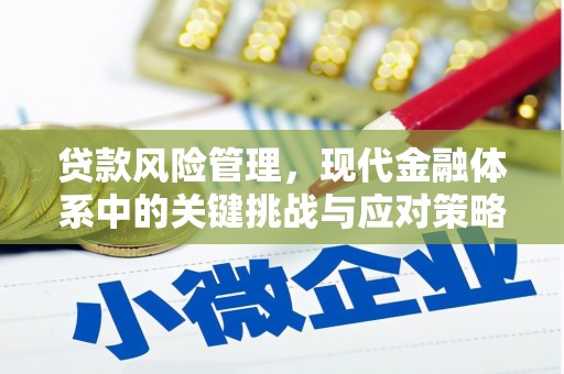 大足贷款风险管理，现代金融体系中的关键挑战与应对策略