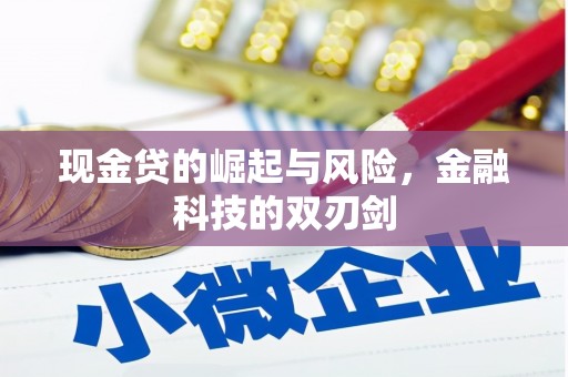 大足现金贷的崛起与风险，金融科技的双刃剑