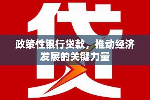 大足政策性银行贷款，推动经济发展的关键力量