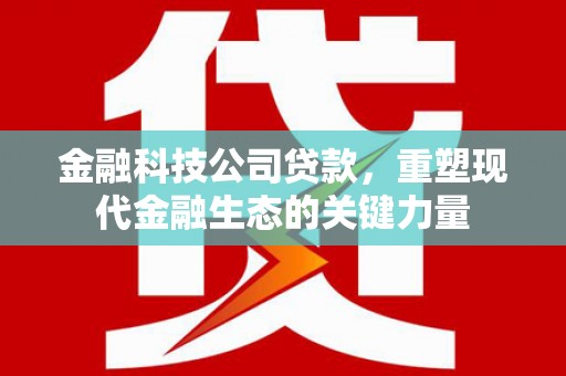 大足金融科技公司贷款，重塑现代金融生态的关键力量