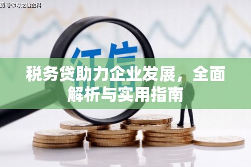 大足税务贷助力企业发展，全面解析与实用指南