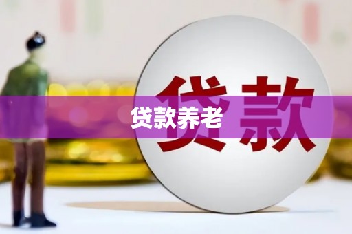 大足贷款养老