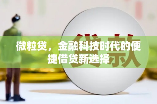 大足微粒贷，金融科技时代的便捷借贷新选择